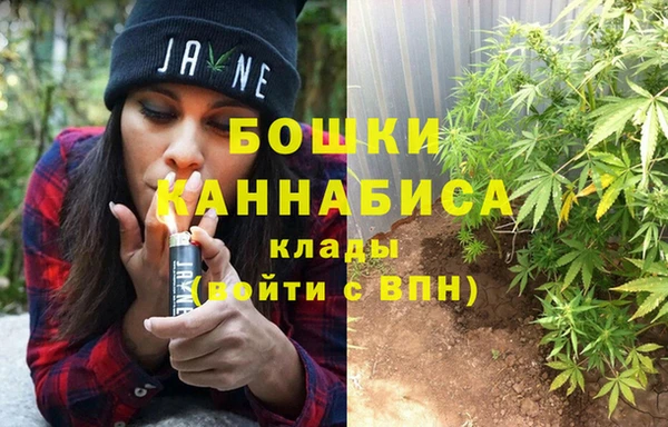 эйфоретик Каменка