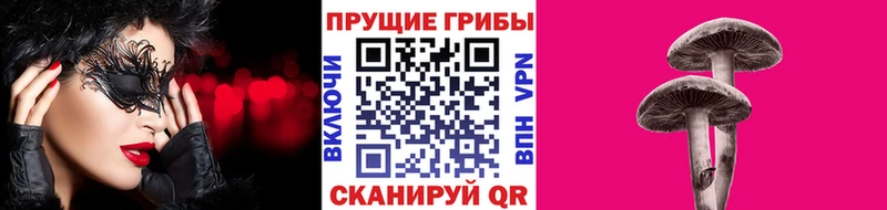 Купить Гремячинск Псилоцибиновые грибы GOLDEN TEACHER